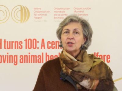 L’OMSA fête ses 100 ans : Réflexions sur le rôle et l’évolution de l’OMSA depuis 1924