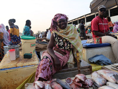 Validation Workshop for Report on Africa’s Policy Guidelines to Curb IUU Fishing and Promoting Transparency in the African Fisheries Sector