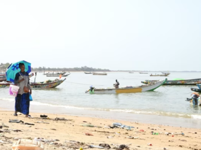Letter: West Africa should protect its fisheries from foreign fleets