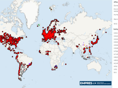 Global Avian Influenza Viruses with Zoonotic Potential situation update