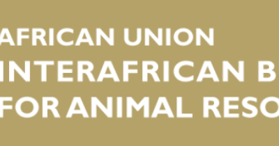 Consultancy : In-depth assessment and analytics of Animal Health data within the Animal Resources Information System (ARIS) hosted in AU-IBAR