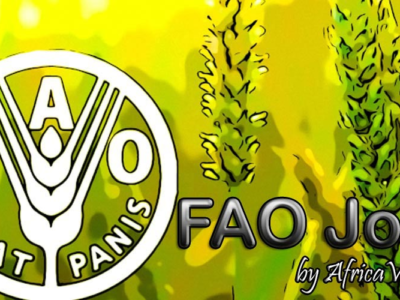 Jobs FAO : National GIS Specialist