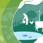 FAO tools to promote sustainable livestock transformation by reducing the need for antimicrobials on farms