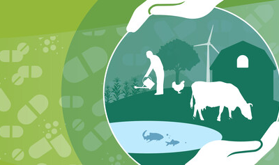 Réduire la nécessité de recourir aux antimicrobiens dans les exploitations agricoles pour une transformation durable des systèmes agroalimentaires