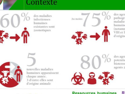 Cameroun : 60% des maladies infectieuses chez l’homme proviennent des animaux
