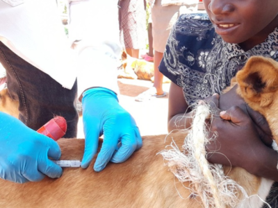 Building collaborations and science capacity in Africa – Afrique One