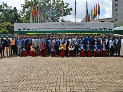 16th Pan African CVO Meeting: Addressing Urgent Animal Health Challenges