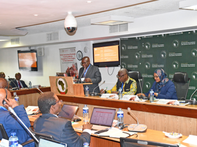 Strengthening Africa’s Voice: A Workshop on WOAH International Standards and Engagement