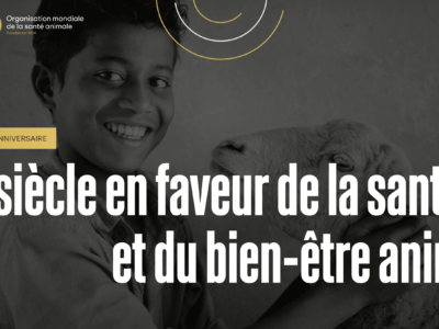 OMSA : Un siècle en faveur de la santé et du bien-être animal