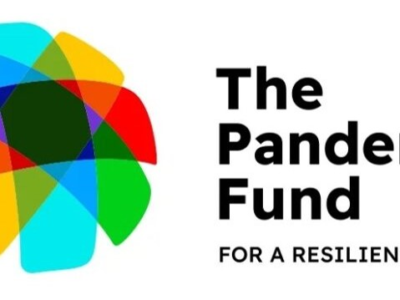 The Pandemic Fund: Second Call for Proposals