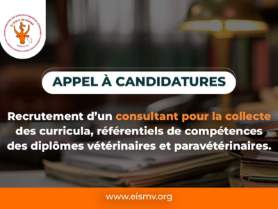 EISMV – Appel à candidatures