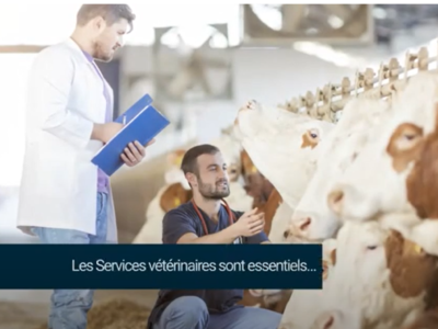 L’importance des Services vétérinaires