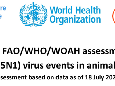 Updated joint FAO/WHO/WOAH assessment of recent influenza A(H5N1) virus events in animals and people