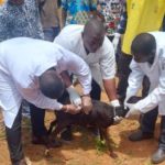 Côte d’Ivoire : Conférence de presse avec les interprofessions des ressources animales et halieutiques