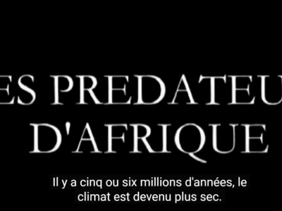 Les prédateurs d’Afrique – Icônes de la vie sauvage – documentaire animaux
