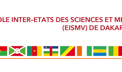 Rentrée 2024 à l’EISMV de Dakar : Reprise des cours le 7 Octobre