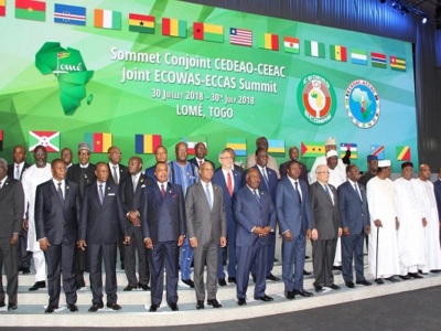 Agriculture-Santé : La CEDEAO et la CEEAC lancent un plan régional en réponse aux épidémies agricoles en Afrique de l’Ouest et du Centre