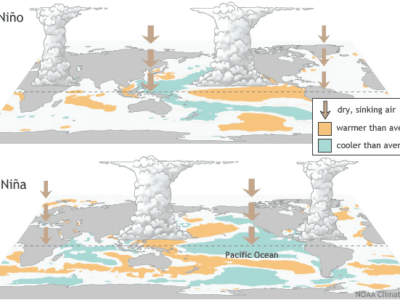 VSF : Entre sécheresse et inondations – Le phénomène de la Niña