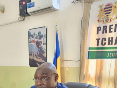 Tchad : nomination au ministère de l’Elevage et de la Production animale
