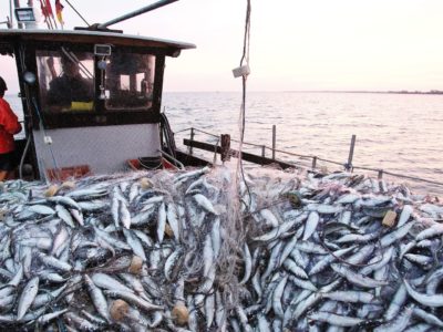 Russie-Maroc : un partenariat stratégique pour l’industrie de la pêche