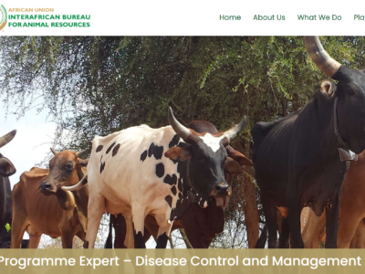 Jobs – Programme Expert – Disease Control and Management
