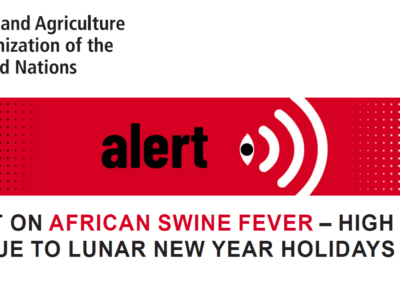 FAO alert on African swine fever – high risk of spread due to lunar new year holidays season