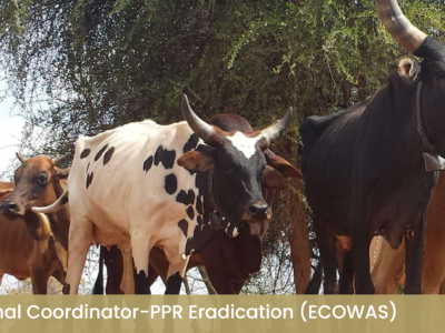 Jobs – Regional Coordinator-PPR Eradication (ECOWAS)