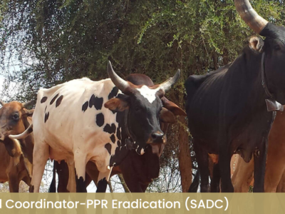 Jobs – Regional Coordinator-PPR Eradication (SADC)