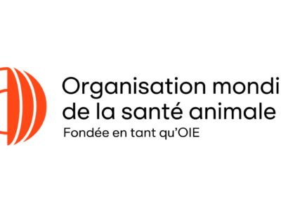 Jobs OMSA – Deputy Director General « Global Frameworks and Capacity Building » – Directorate General – WOAH HQ Paris, France