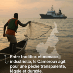 Tabaski 2025 : le Sénégal renforce ses liens avec le Mali pour sécuriser l’approvisionnement en moutons et soutenir la filière pastorale
