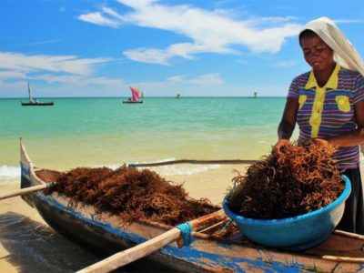 Validating the Implementation Plan: Gender Strategy for Aquatic Biodiversity