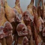 New Regional Network Formed to Support Small-Scale Octopus Fisheries in the Western Indian Ocean