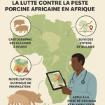 Tunisie : regain d’intérêt économique pour le lait de chamelle dans le Sud aride