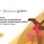 Regional Forum on the International Year of Camelids and Sustainable Livestock Transformation in Africa
