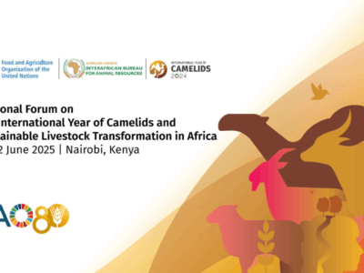 Camélidés : piliers de résilience climatique en Afrique – l’AU-IBAR en chef d’orchestre à Nairobi