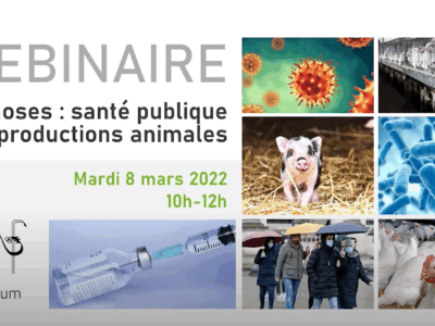 Zoonoses : santé publique et productions animales