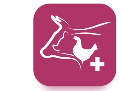 Nigeria : l’intelligence artificielle révolutionne la santé animale avec VetWiz 2.0