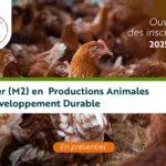 EISMV : Ouverture de l’inscription du Master (M2) en Qualité des aliments de l’homme