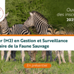 EISMV : Ouverture de l’inscription du Master (M2) en Productions Animales et Développement Durable