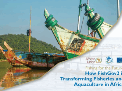 Commemorating the Africa Day of Seas and Oceans – Fishing for the Future