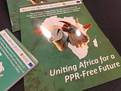 West Africa: Abidjan sets the course for PPR Eradication by 2030