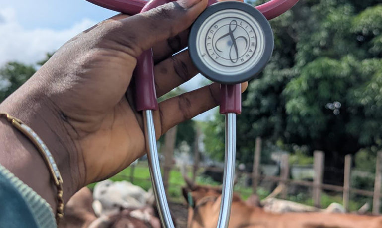 A stethoscope held in the foreground with cows grazing in the background, symbolizing rural animal healthcare