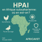 Cameroun – Ngaoundéré : l’usine laitière portée à 5 000 litres/jour, vitrine de la stratégie d’import-substitution