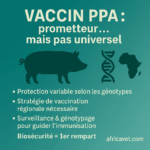 Cap Vert : Appel d’offres UGPE – équipements & consommables de diagnostic vétérinaire (RFQ 020)