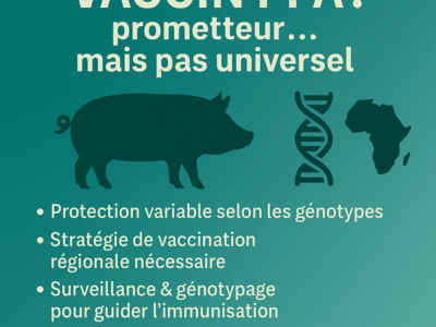 Vaccin PPA : des résultats encourageants… mais pas universels