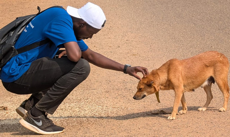 A veterinary doctor Interacting with a Stray Dog outdoors