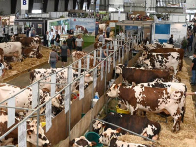 An Unprecedented Challenge for the SPACE 2025 Animal Production Show