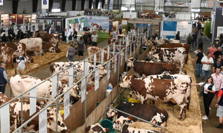 Wide-angle view of the main hall at the SPACE livestock show in Rennes, with exhibitors and visitors walking between animal pens