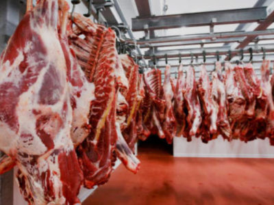 Unity key to securing the future of South Africa’s red meat industry