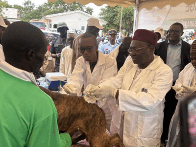 Cameroun : RACE intensifie la lutte contre la rage, en phase avec les standards internationaux